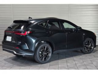 2023 LEXUS NX NX350h F Sport User Purchase photo 2