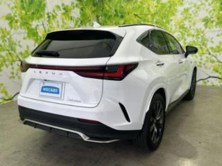 2023 LEXUS NX NX350h F Sport photo 3