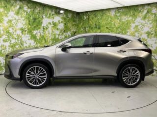2022 LEXUS NX NX350h Version L photo 2