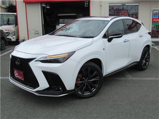 2025 LEXUS NX NX350h F Sport 4WD photo 2