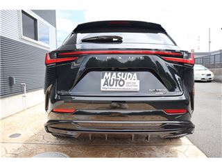 2024 LEXUS NX 350h F Sport 4WD photo 2
