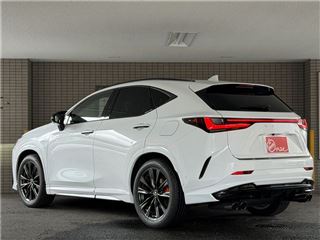 2025 LEXUS NX NX350h F Sport ★ One owner, non-smoking car, PR, MarkLev photo 2