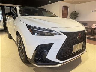 2024 LEXUS NX NX350h F Sport photo 5