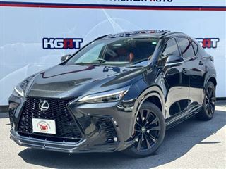 2024 LEXUS NX 350h F Sport 4WD photo 2