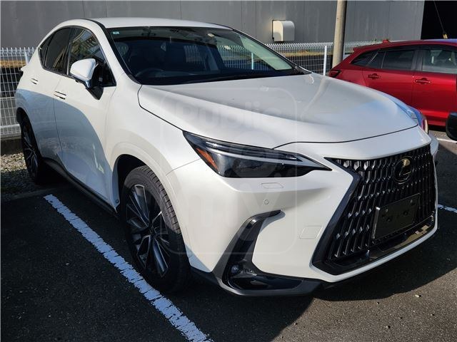 2022 LEXUS NX 350h Version L 4WD ☆ 360-degree camera ☆ 14-inch DA