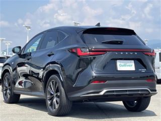 2022 LEXUS NX 350h F Sport 4WD photo 2