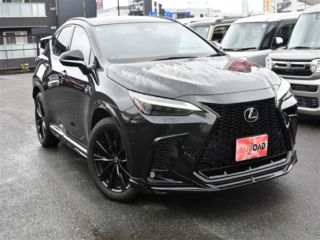 2024 LEXUS NX 350h F Sport AWD photo 2