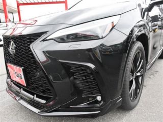 2025 LEXUS NX 350h AWD F Sport photo 5