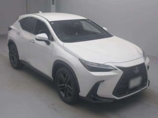 2022 LEXUS NX NX350h Version L 4WD photo 3