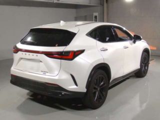 2022 LEXUS NX NX350h Version L 4WD photo 2