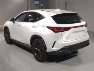 2022 LEXUS NX NX350h Version L 4WD photo 4