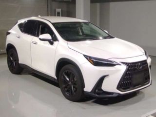 2022 LEXUS NX NX350h Version L 4WD photo 3