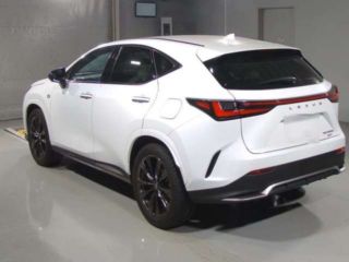 2024 LEXUS NX NX350h F Sport 4WD photo 4