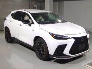 2024 LEXUS NX NX350h F Sport 4WD photo 3