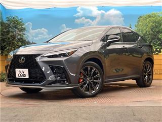2021 LEXUS NX NX450h+ F Sport