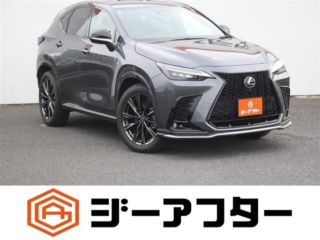 2021 LEXUS NX 450h + F Sport
