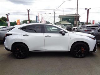 2022 LEXUS NX 450h F Sport photo 4