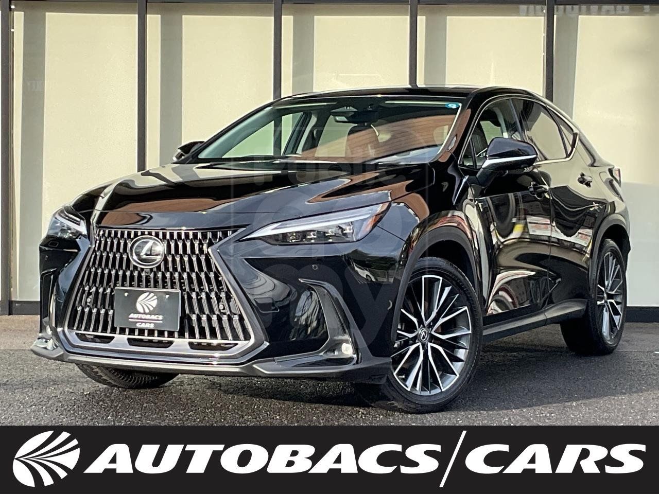 2022 LEXUS NX 2500 NX450h+ version L 5-door FCVT 4WD 5-seater