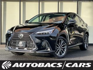 2022 LEXUS NX 2500 NX450h+ version L 5-door FCVT 4WD 5-seater