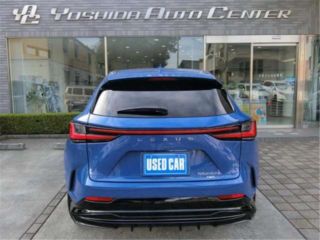 2022 LEXUS NX NX450H+ F Sport photo 5