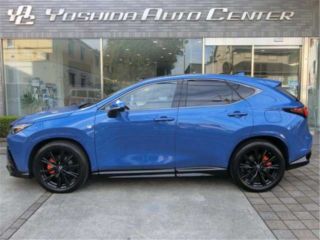 2022 LEXUS NX NX450H+ F Sport photo 3