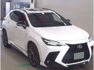 2023 LEXUS NX NX450h+ F Sport 4WD T