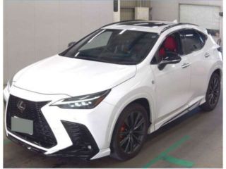 2023 LEXUS NX NX450h+ F Sport 4WD T photo 2