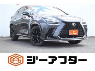 2021 LEXUS NX 450h F Sport
