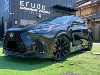 2022 LEXUS NX NX450h+ F Sport