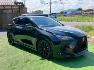 2022 LEXUS NX NX450h+ F Sport photo 3