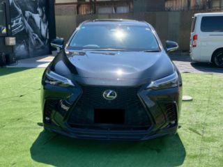 2022 LEXUS NX NX450h+ F Sport photo 2