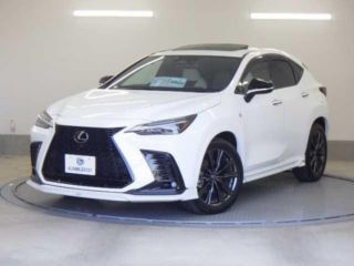 2023 LEXUS NX PHEV NX450h + F Sport