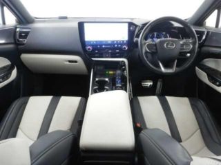 2023 LEXUS NX PHEV NX450h + F Sport photo 3