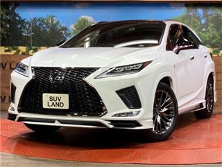 2021 LEXUS RX RX300 F Sport