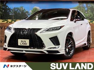 2021 LEXUS RX RX300 F Sport photo 4