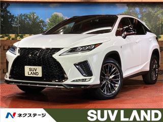 2021 LEXUS RX RX300 F Sport photo 4