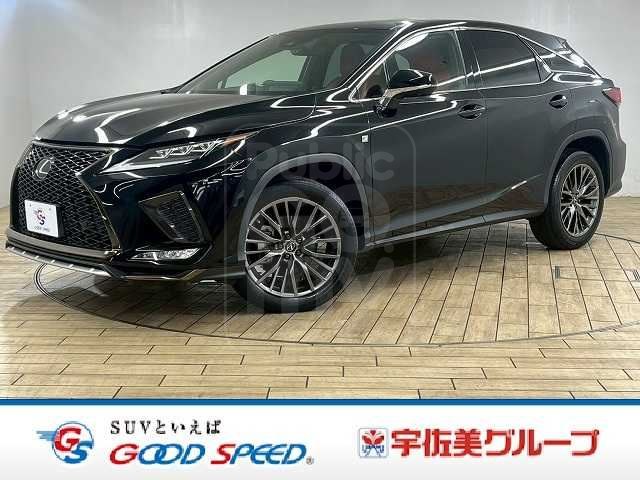 2021 LEXUS RX RX300 “F SPORT”