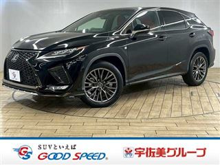 2021 LEXUS RX RX300 “F SPORT”