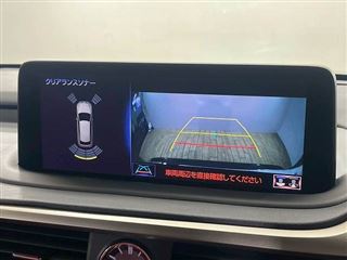 2021 LEXUS RX RX300 “F SPORT” photo 4