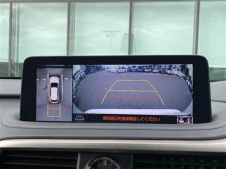2021 LEXUS RX 300 F Sport photo 5