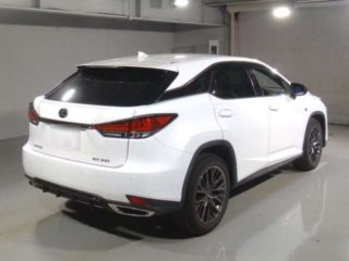 2021 LEXUS RX RX300 F Sport photo 2