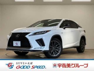 2021 LEXUS RX RX300 “F SPORT”