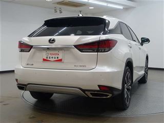 2021 LEXUS RX 300 Version L 4WD photo 3
