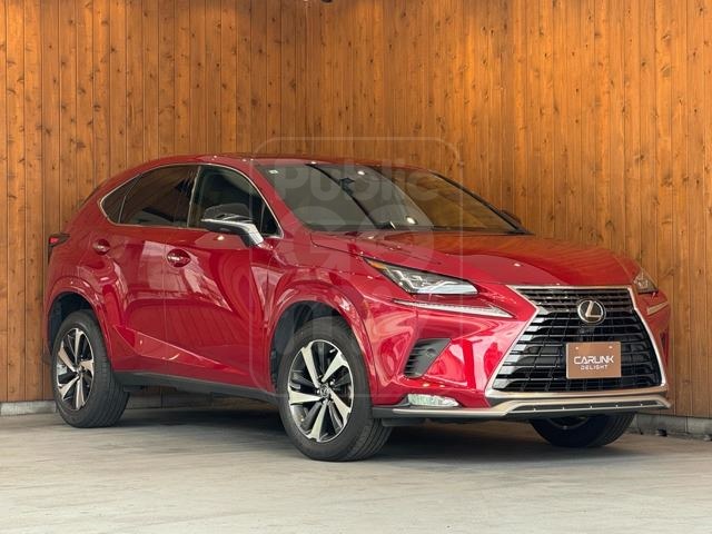 2021 LEXUS NX 300 Spice &amp; Chic