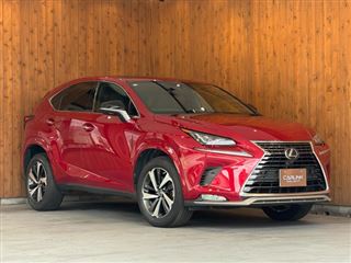 2021 LEXUS NX 300 Spice &amp; Chic