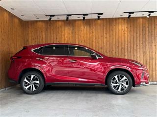 2021 LEXUS NX 300 Spice &amp; Chic photo 3