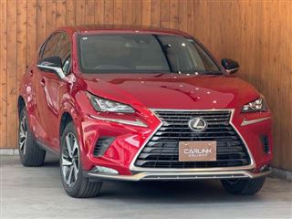 2021 LEXUS NX 300 Spice &amp; Chic photo 2