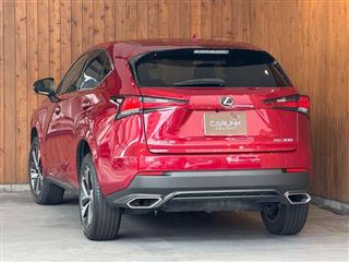 2021 LEXUS NX 300 Spice &amp; Chic photo 5
