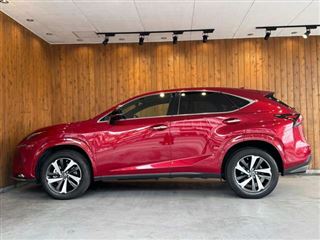 2021 LEXUS NX 300 Spice &amp; Chic photo 4