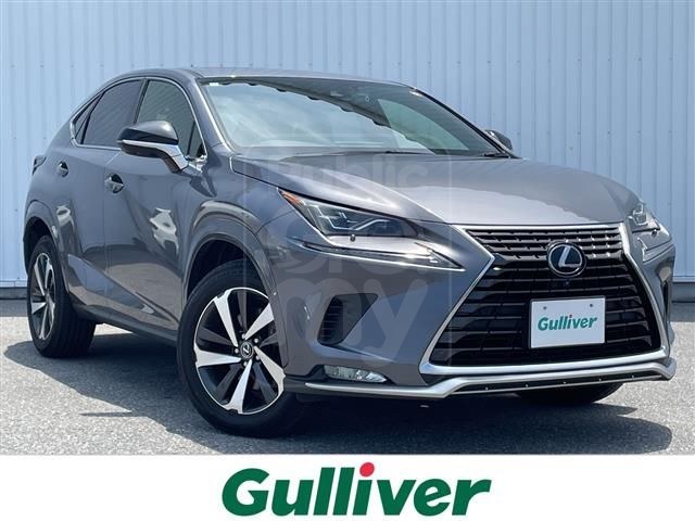2021 LEXUS NX 300 Spice &amp; Chic